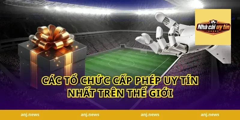 Các Tổ Chức Cấp Phép Uy Tín Nhất Trên Thế Giới