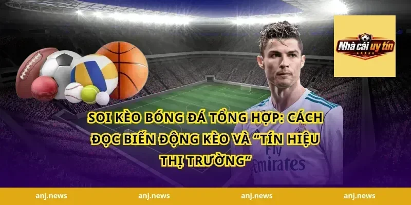 soi kèo bóng đá tổng hợp: Cách đọc biến động kèo và “tín hiệu thị trường”