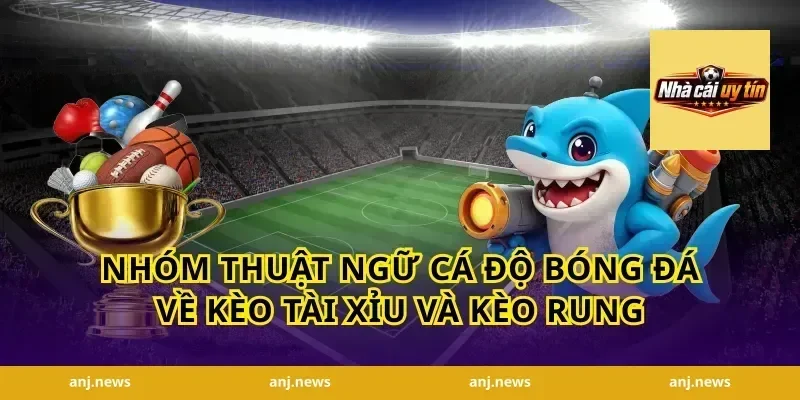 Nhóm thuật ngữ cá độ bóng đá về kèo tài xỉu và kèo rung
