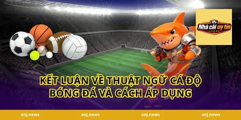 Kết luận về thuật ngữ cá độ bóng đá và cách áp dụng