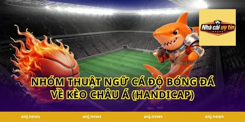 Nhóm thuật ngữ cá độ bóng đá về kèo châu Á (handicap)