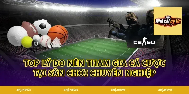 Top lý do nên tham gia cá cược tại sân chơi chuyên nghiệp