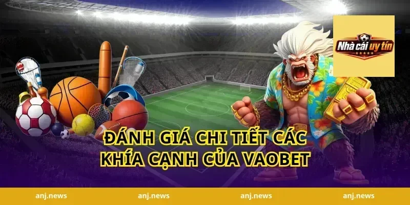 Đánh giá chi tiết các khía cạnh của Vaobet